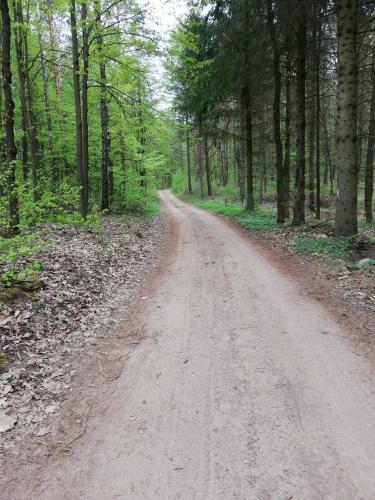 Agroturismo Zacisze Przy Lesie