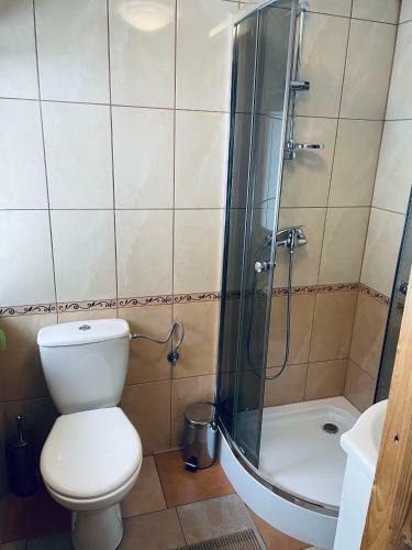 Apartamento Pokoje Go?cinne Zosinka