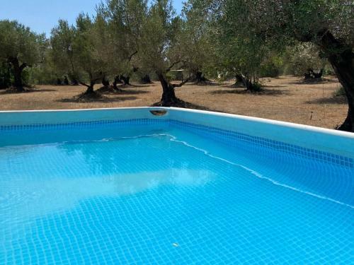 Paraiso Bell Tent