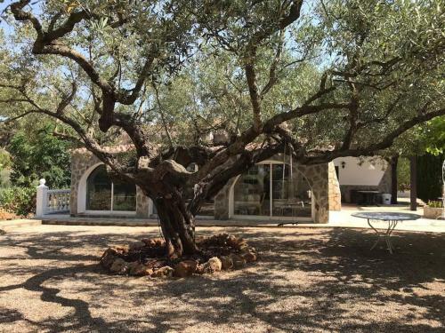 Finca En La Monta�a Con Piscina