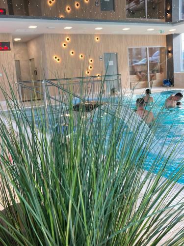Apartament K&K Klifowa Rewal