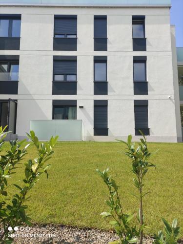 Apartament T?cza