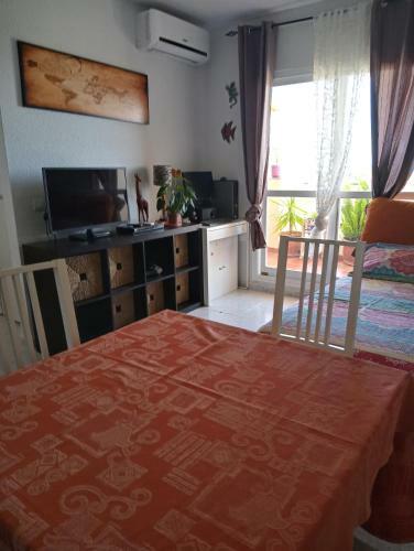 Apartamento Casa Cari�o