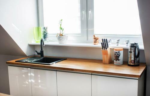 Apartamento Dom W Santocznie