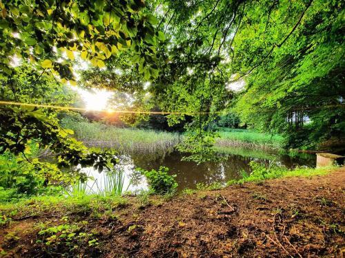 Apartamento Dziubanowo