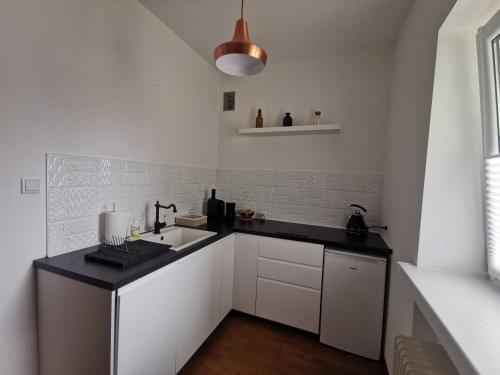 Apartament Skorpion Centrum
