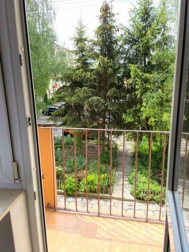 Apartament Mickiewicza 11