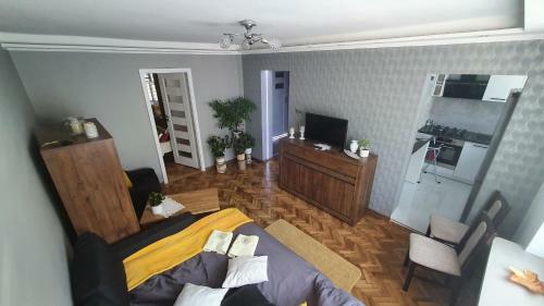 Apartament Park Saski