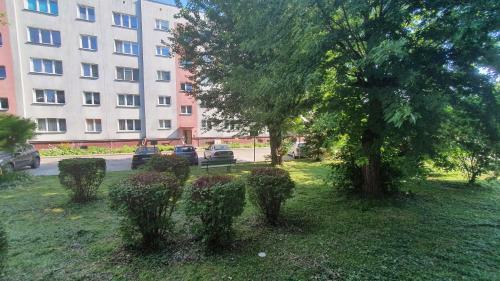 Apartament Park Saski