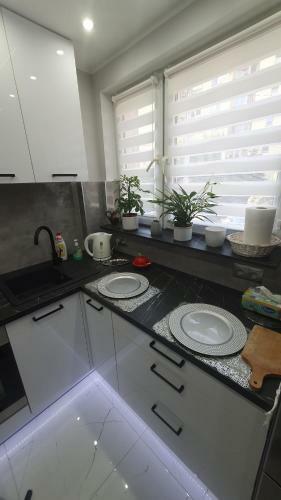 Apartament Park Saski