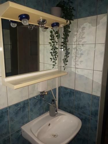 Agroturystyka Zielone Wzgorze