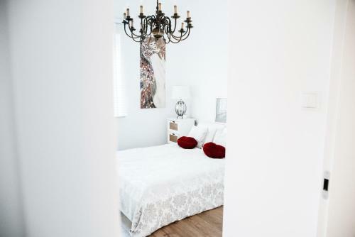 Apartament Skierniewice