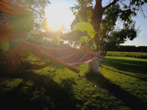 Agroturystyka "dobre Czasy"