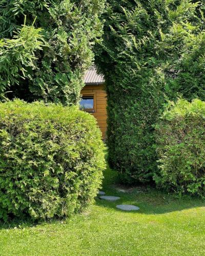 Apartamento Agroturystyka "pod Grusz?"