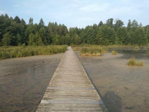 Zacisze Markowszczyzna