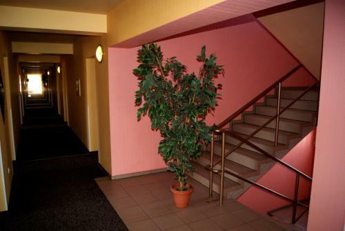 Hotel Holidays
