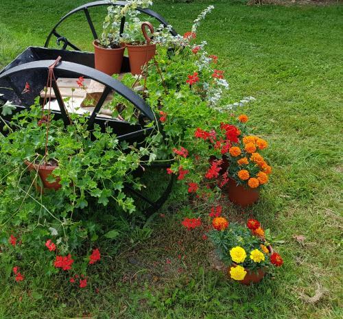 Apartamento Mazurska Sielanka