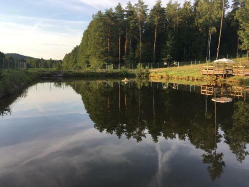 Hotel Le?ny Dworek