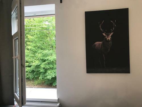 Apartament Pod Chojnikiem