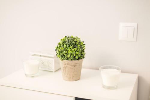 Apartament Ujasia