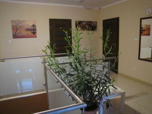 Bed & Breakfast Heveliusz