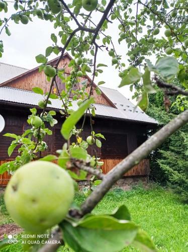 Gospodarstwo Agroturystyczne U Stasik�w