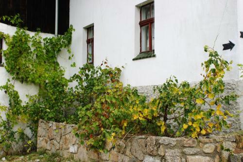 Agroturismo Pensjonat Nostalgia