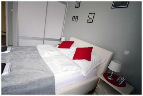 Color 24 Apartament IV