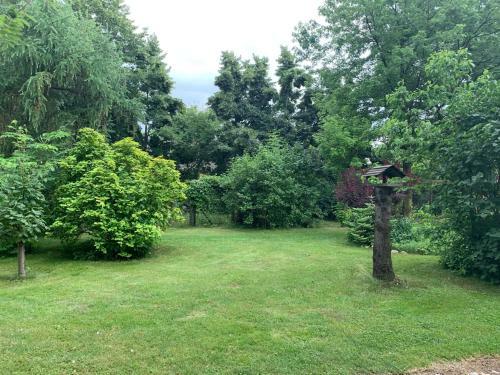 Apartamenty Podwarszawskie