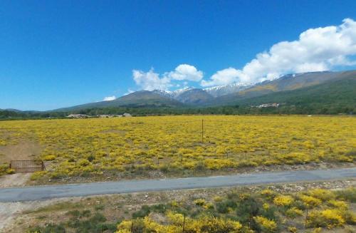 Loboratorio Rural-cuenta Hasta 3