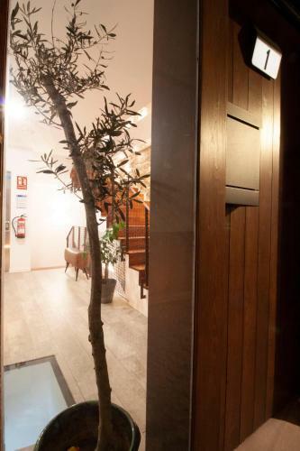 Hostal Casa De Luna Y Sol