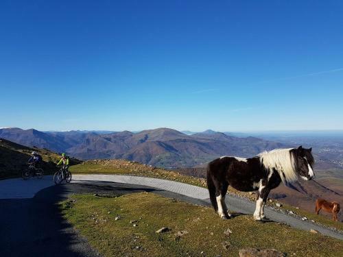 G�te de Charme Lodge En Pays Basque