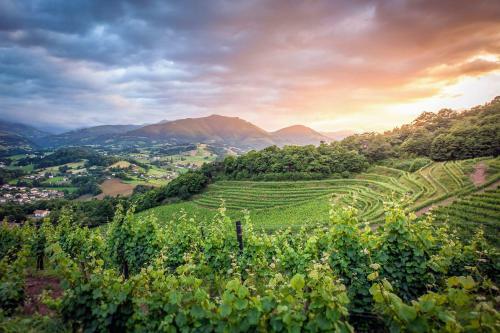 G�te de Charme Lodge En Pays Basque