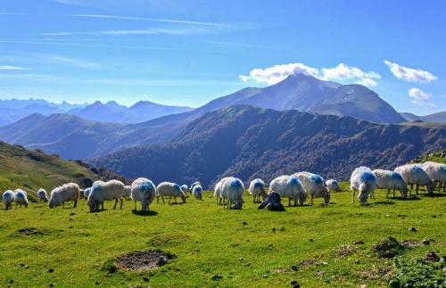 G�te de Charme Lodge En Pays Basque