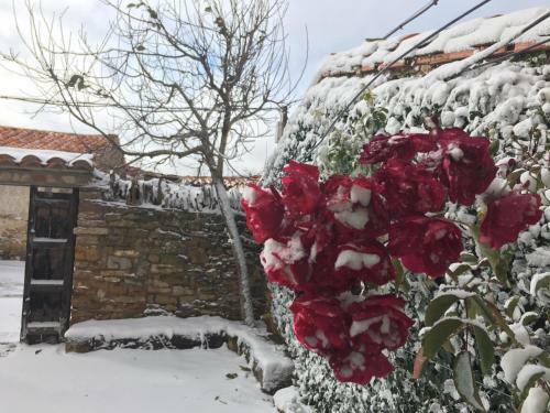 Casa In�s