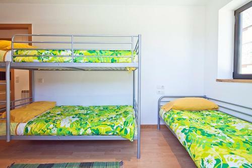 Apartamentos Valencia de Anheu III