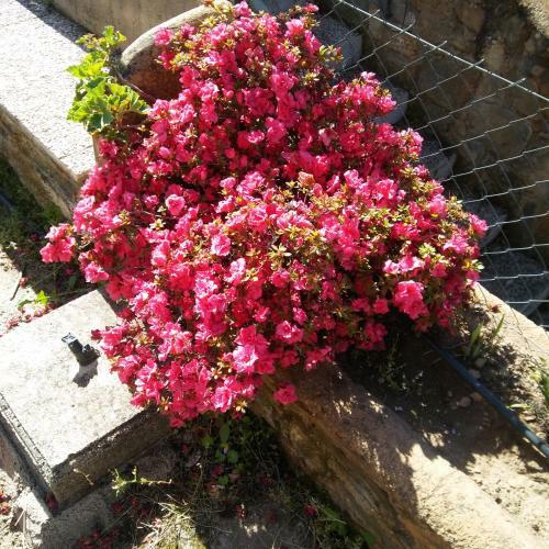 Posada La Caba�a Romantica de Llano
