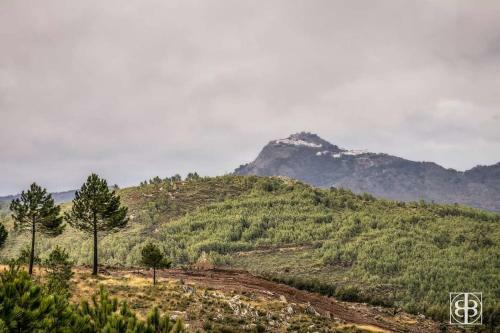 Posada La Caba�a Romantica de Llano