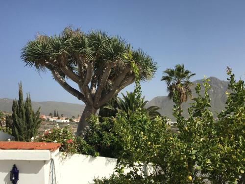 Detached Villa, Private Pool Only 10 Minutes To Beaches