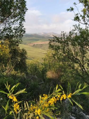 Finca S�bila