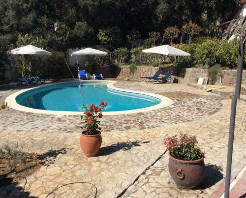 Hostal Villa Sotavent