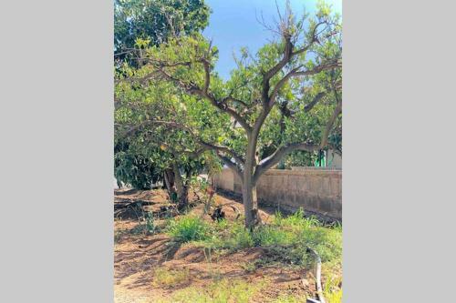 Nature & Paradise Villa Gil Bordon