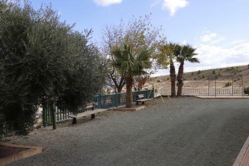 Mirador De Amparo