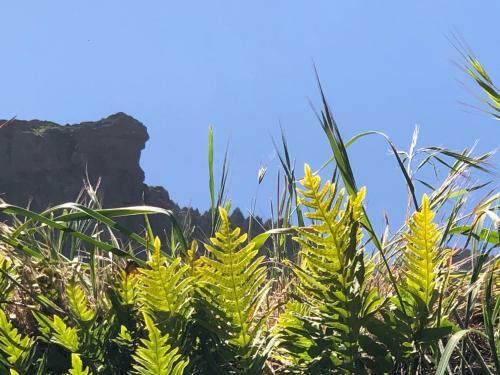 Villa Rafael