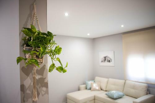 Apartamento La Peque�a