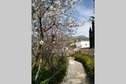 Apartamento Mirador Del Valle