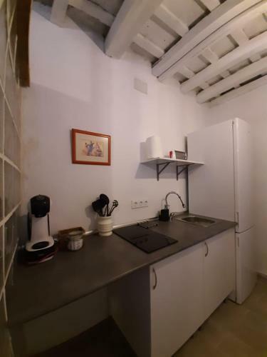El Estudio Del Zagu�n