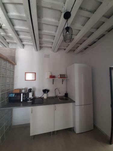 El Estudio Del Zagu�n