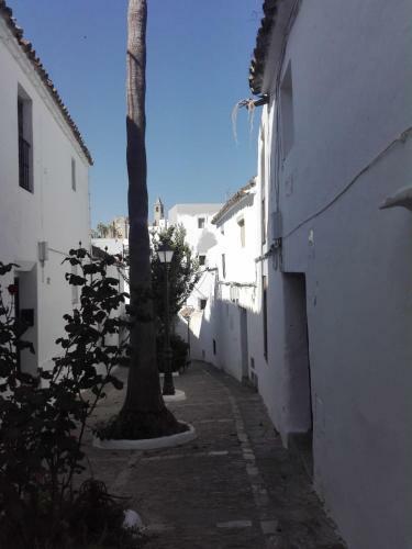 Apartamento Casa Patio Para�so