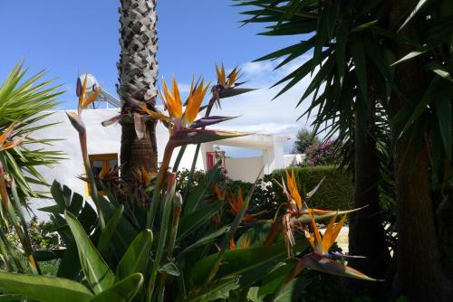 Apartamento Finca Du Ressourcement Higueron